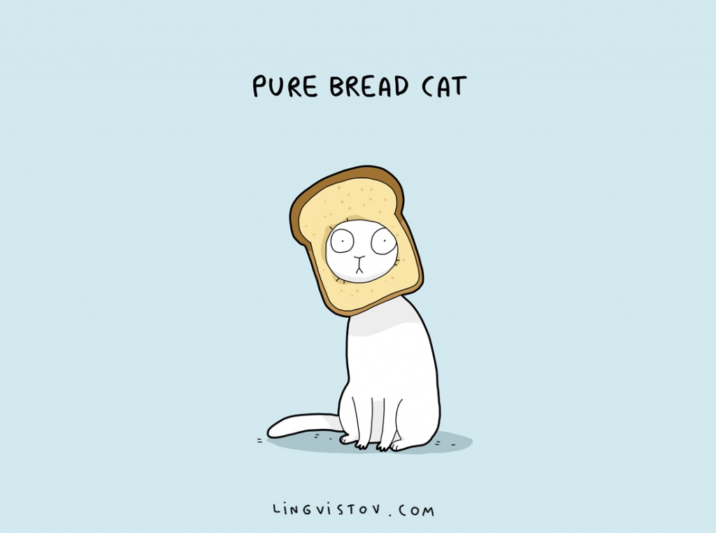 cute cat puns