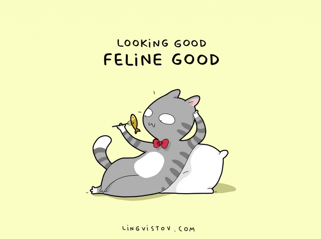 cat-puns-006.jpg