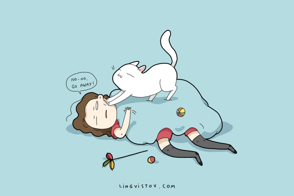 How My Cat Wakes Me Up - Lingvistov | Lingvistov - Online Store