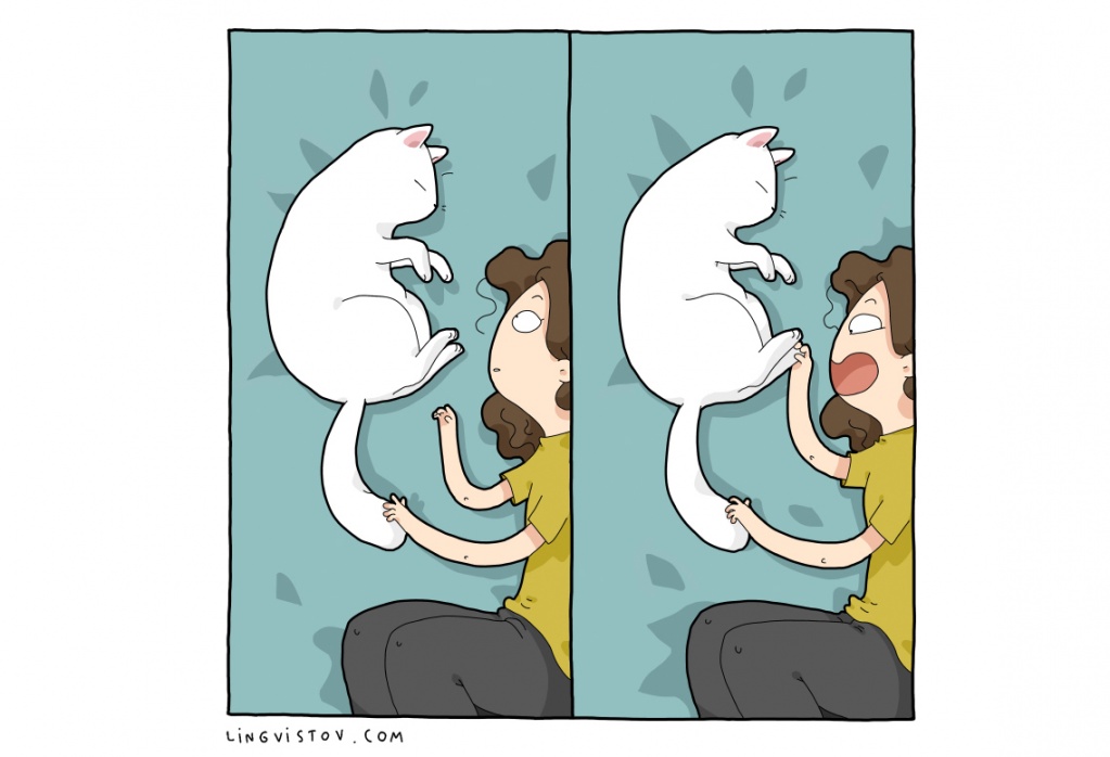 cat-comics-019.jpg