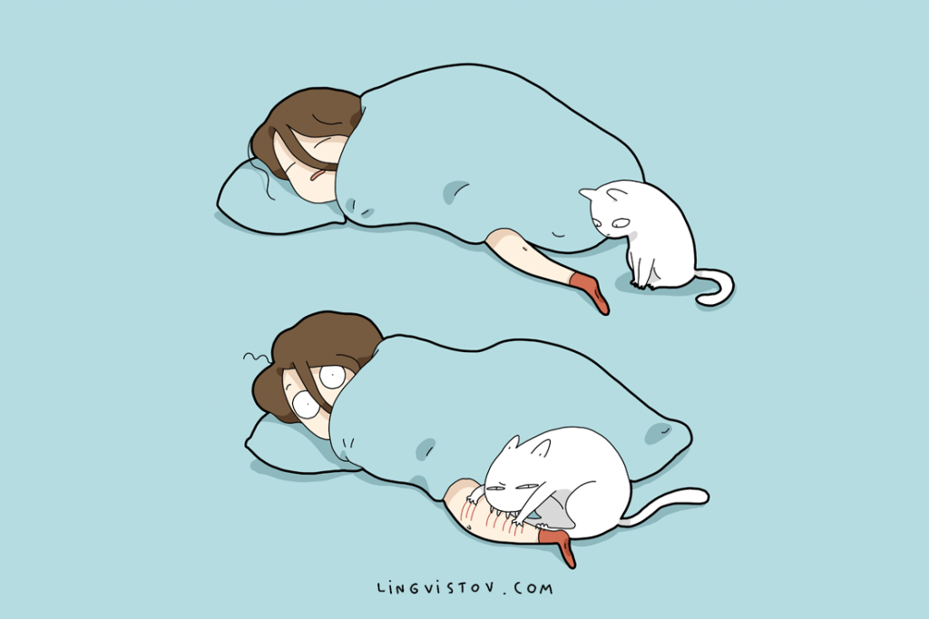 How My Cat Wakes Me Up - Lingvistov | Lingvistov - Online Store