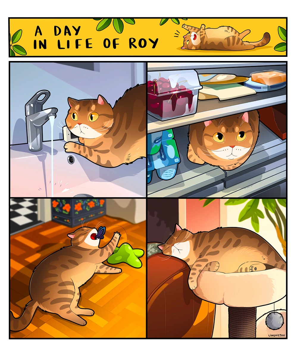 Custom Comics