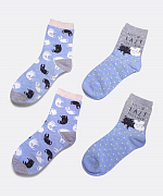 Cats Socks 2 Pairs