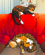 Pet Portraits