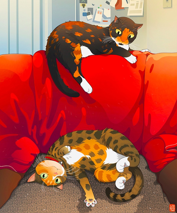 Pet Portraits
