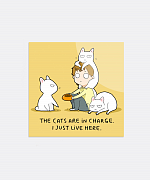 Cats In Charge Sticker