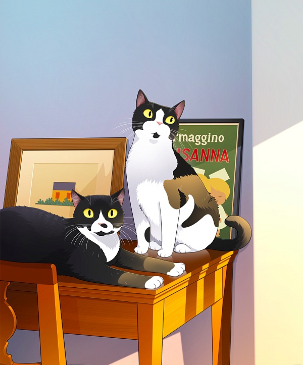 Pet Portraits