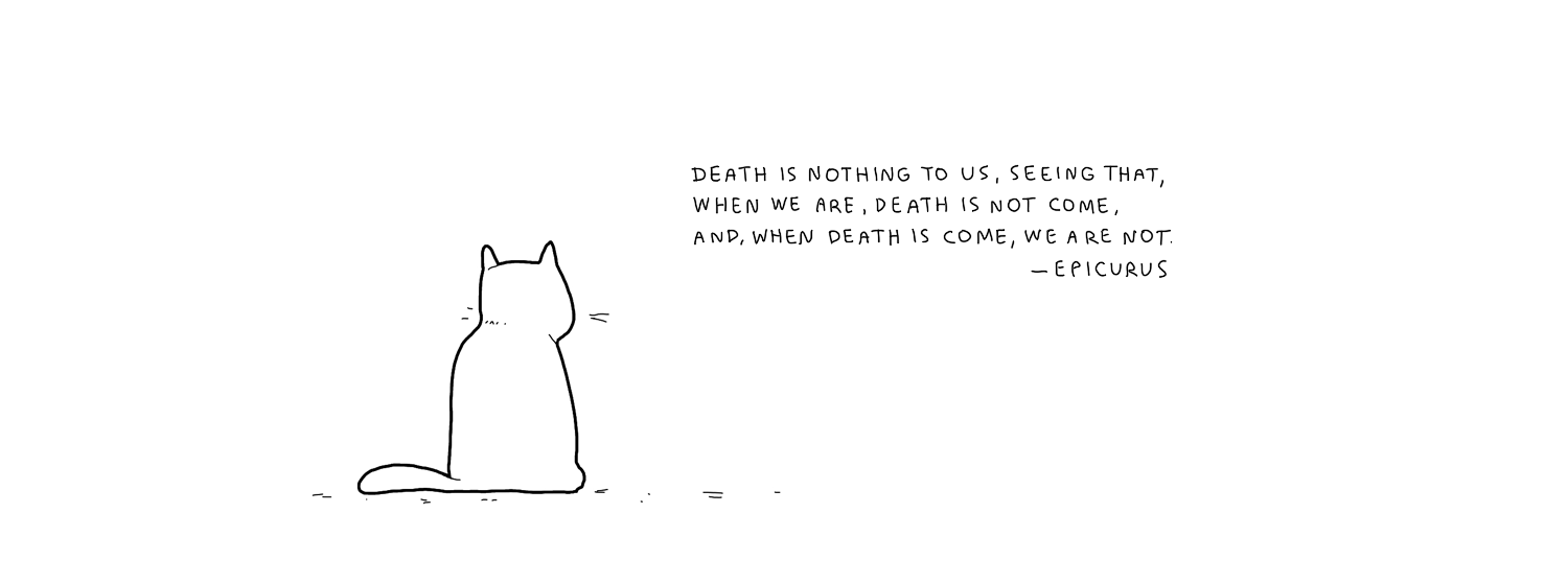 philosophical-cat-004