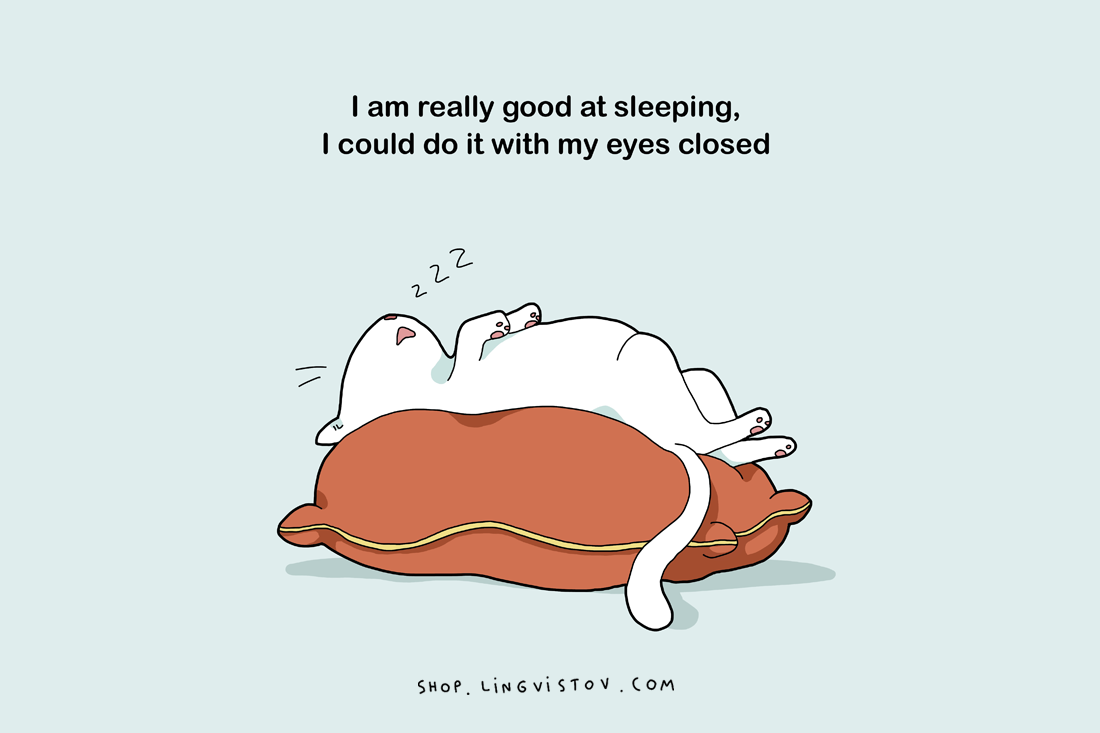 15 Things People Who Love To Sleep Truly Understand - Lingvistov