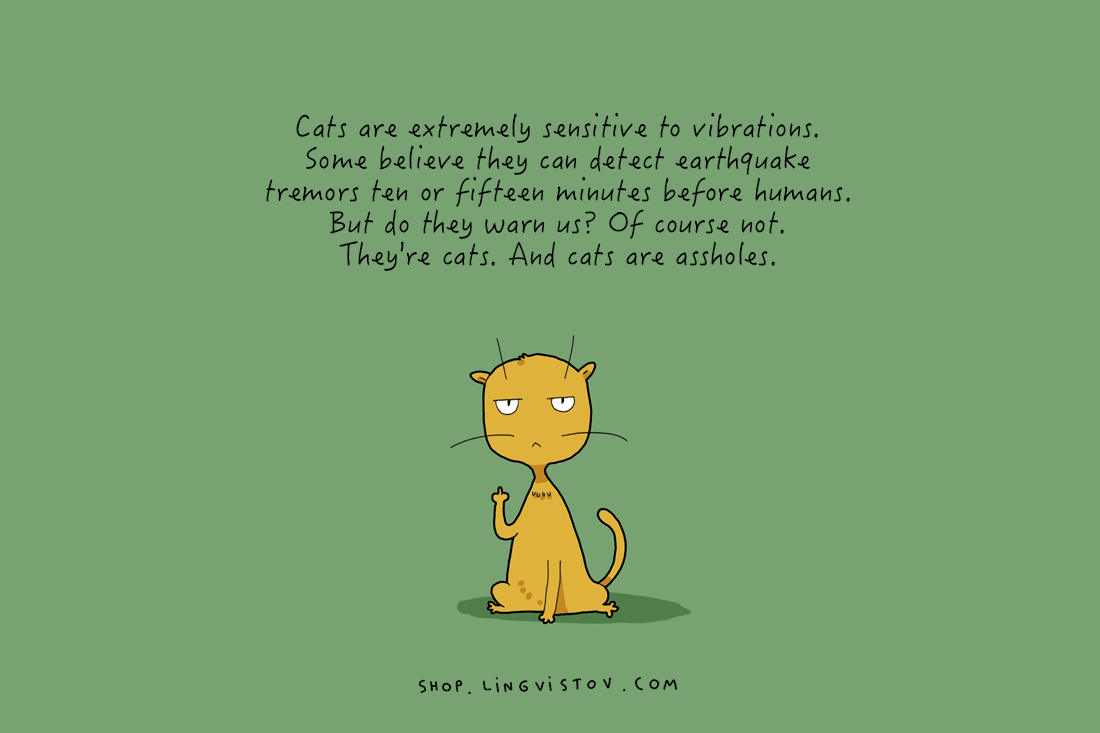 cat-doodles-012