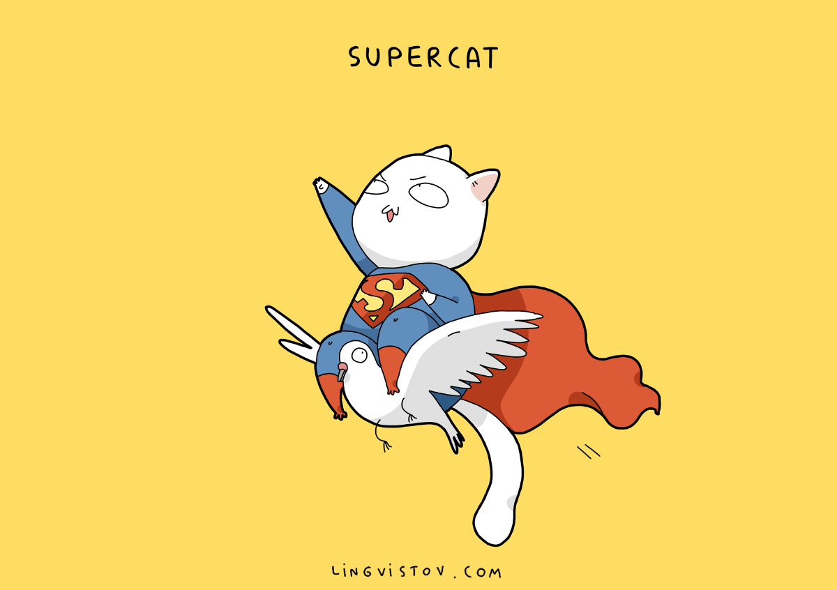 supercats-001
